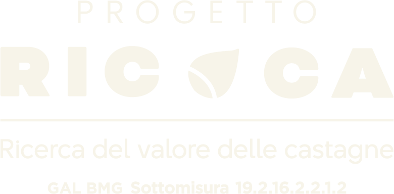 Progetto Ric.Ca.