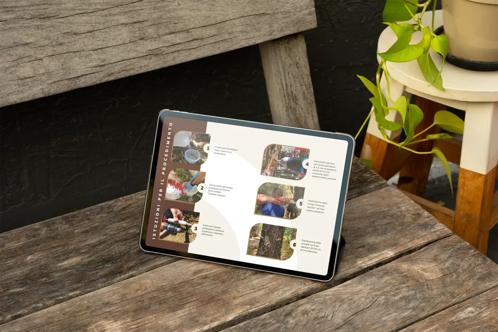 Report digitale RIC.CA.