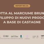 LOTTA AL MARCIUME BRUNO E SVILUPPO DI NUOVI PRODOTTI A BASE DI CASTAGNE