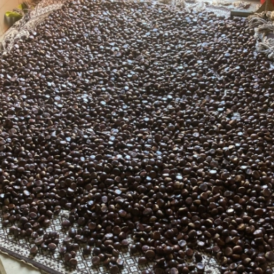 castagne in un ambiente ventilato