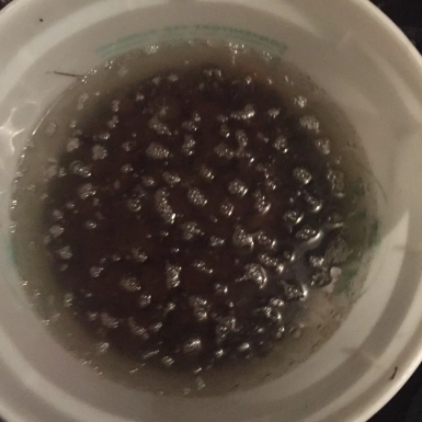 castagne immerse nell'acqua